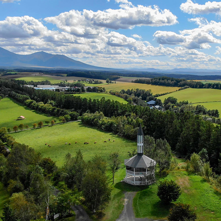外食・観光事業